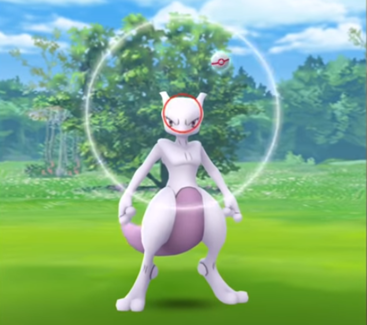 Catching a Mewtwo