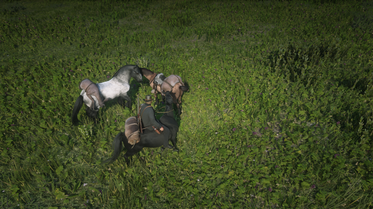 If you're REALLY into hunting consider breaking (or stealing) a couple extra horses. Just remember that a saddle is required for small animals, and carcasses will rot over time. Bond Level 1 is also a good idea. 