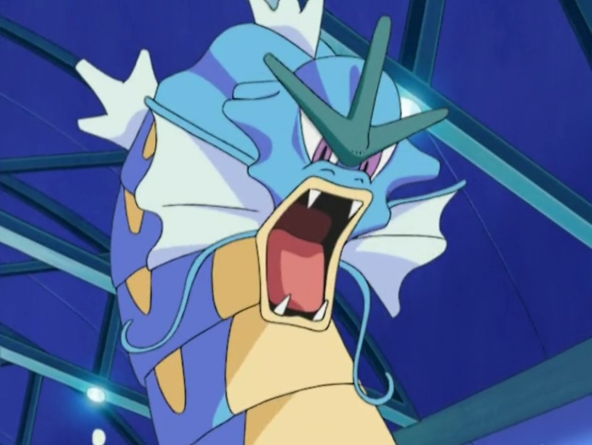 Gyarados is a water/flying-type atrocious Pokemon. One good nicknaming idea is to give it one that highlights its fearsome visage. 