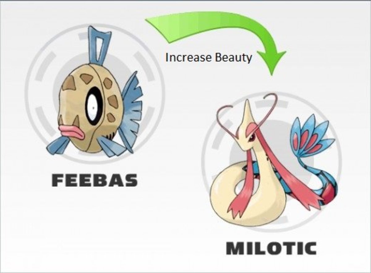 pokemon milotic evolution