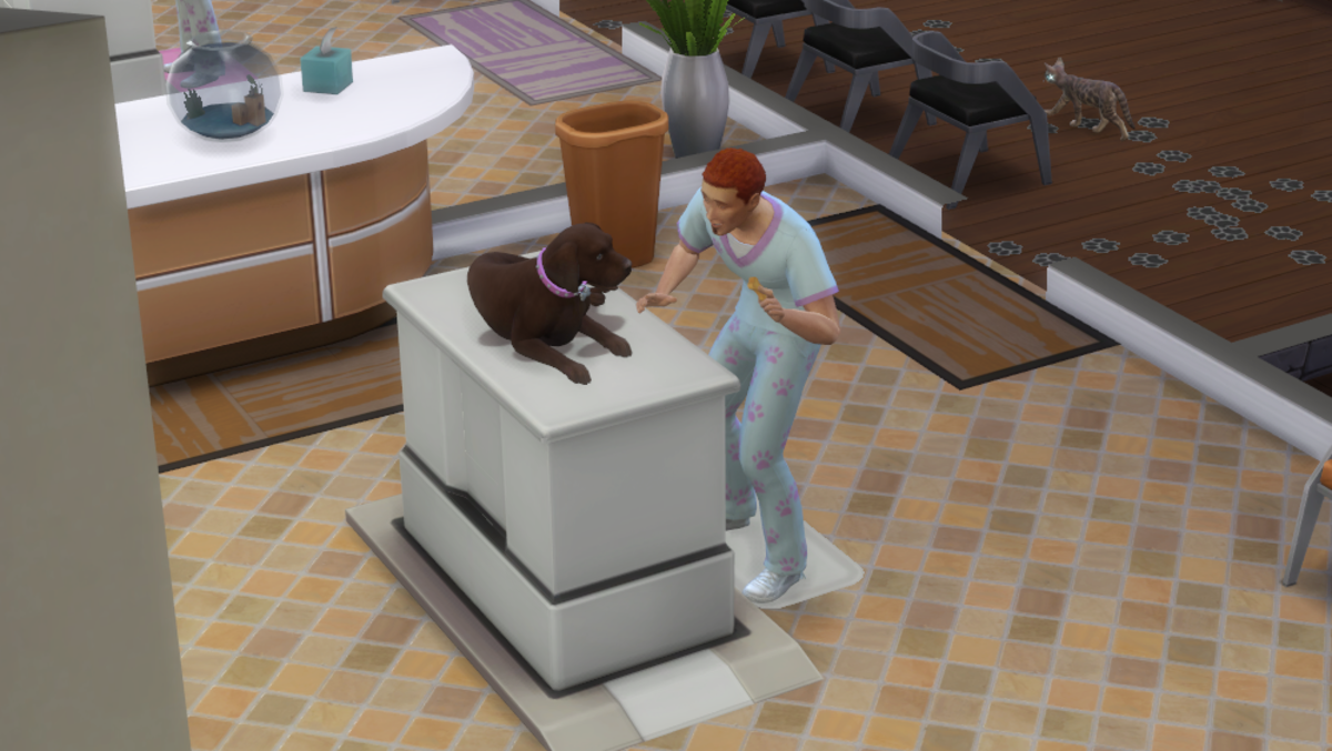 "The Sims 4 Cats and Dogs" Guide LevelSkip