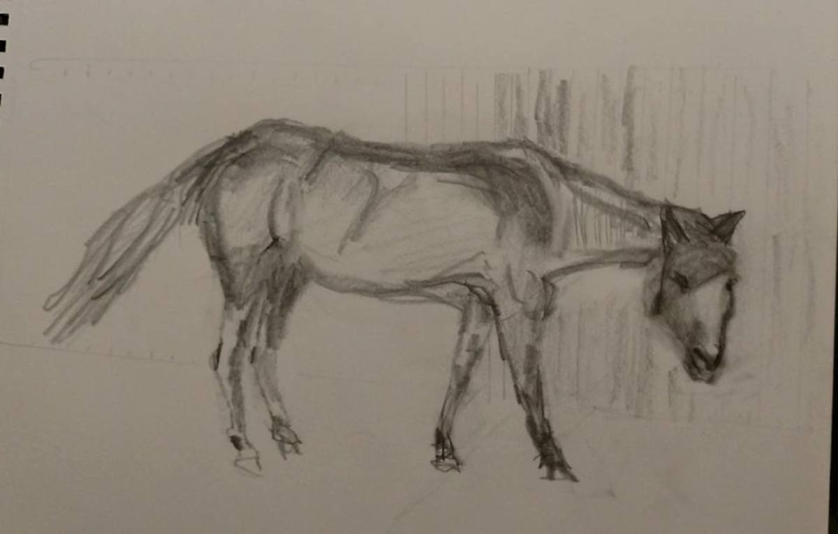 Following shapes, both positive and negative, allowed me to draw this horse
