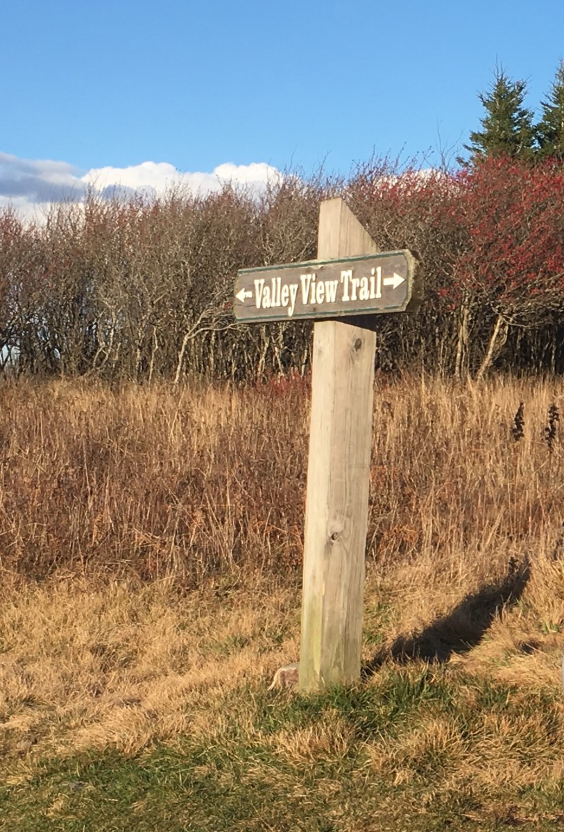 The Dolly Sods Wilderness Experience SkyAboveUs