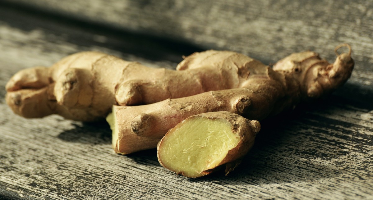 Chewing on ginger helps reduce nausea associated with VR Sickness
