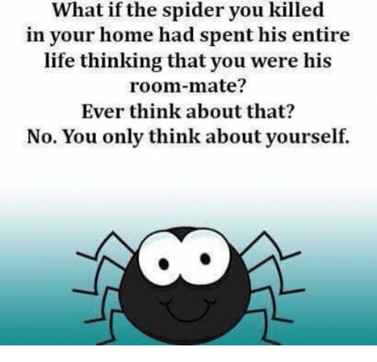 Spiders Have Feelings