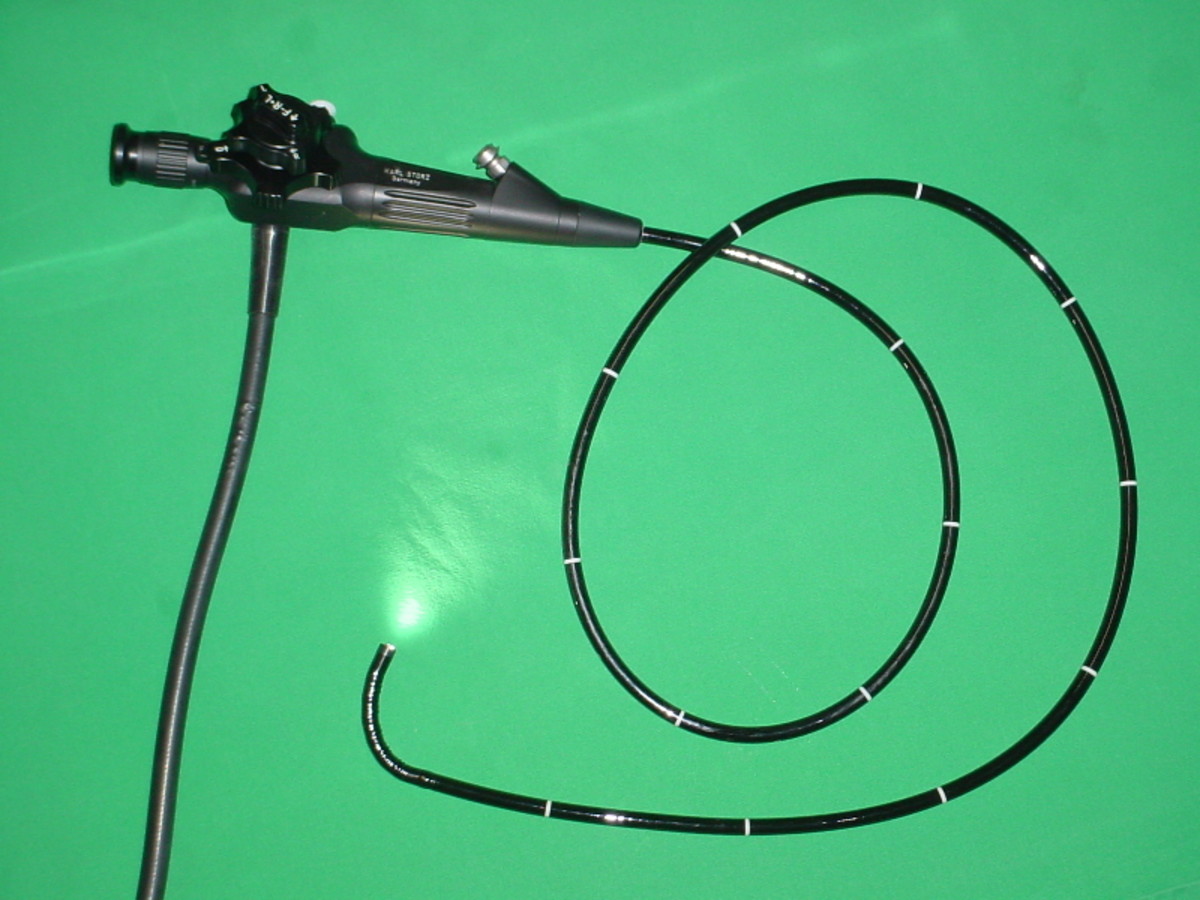 An example of a flexible endoscope