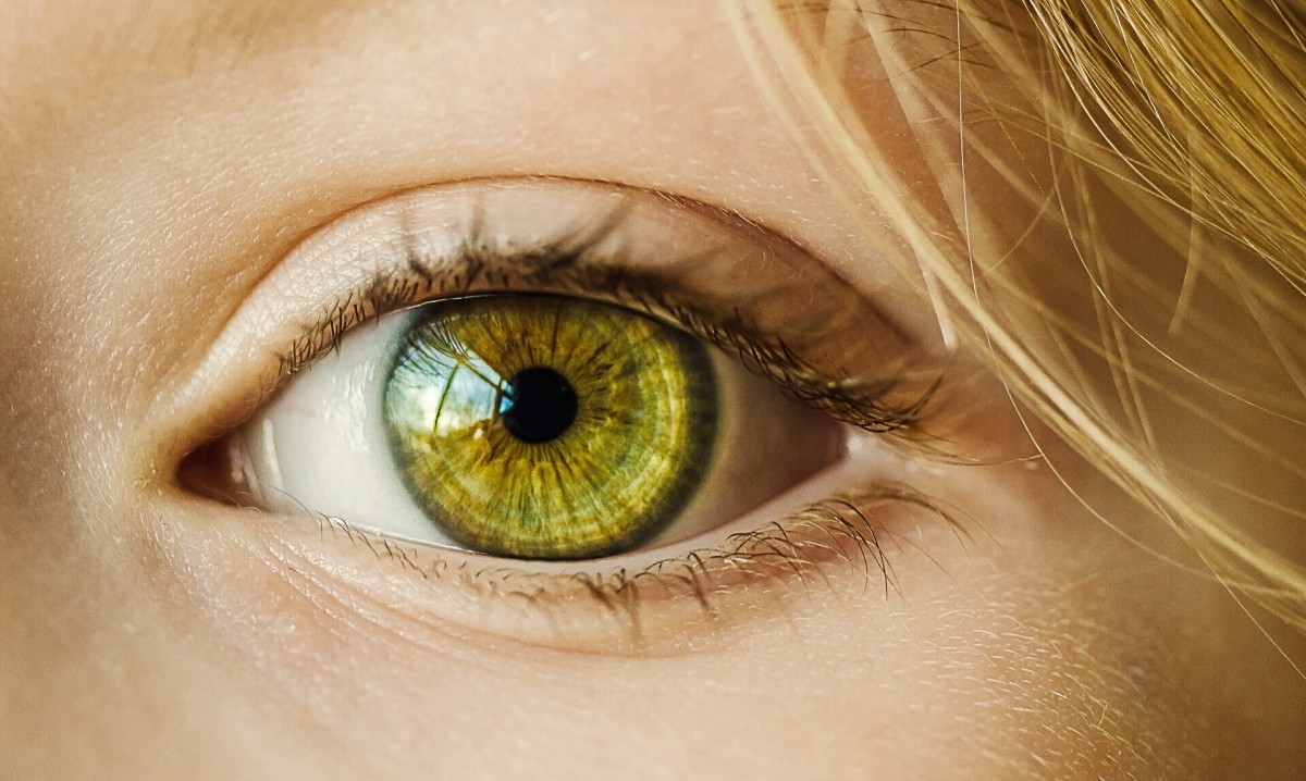 Glaucoma: Eye Biology, Nerve Damage, and Research Facts