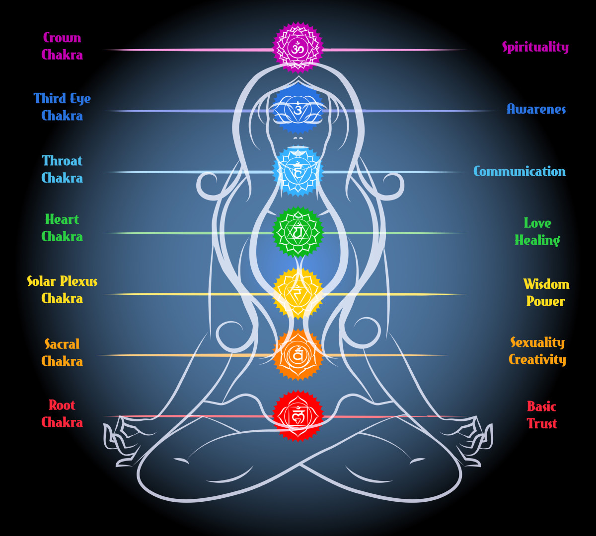 Each chakra resonates with a different color and sound, has its own function, and is related to specific organs in the body.