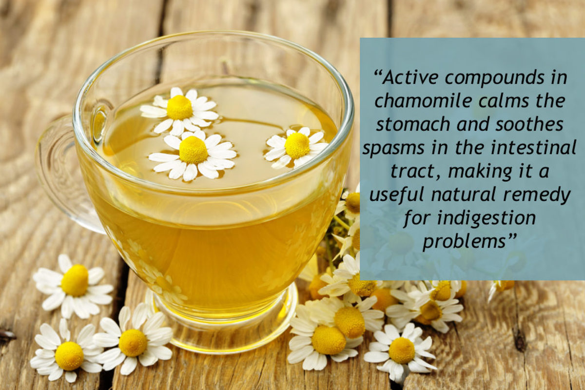 Top 7 Natural Alternative Remedies for Indigestion Relief RemedyGrove