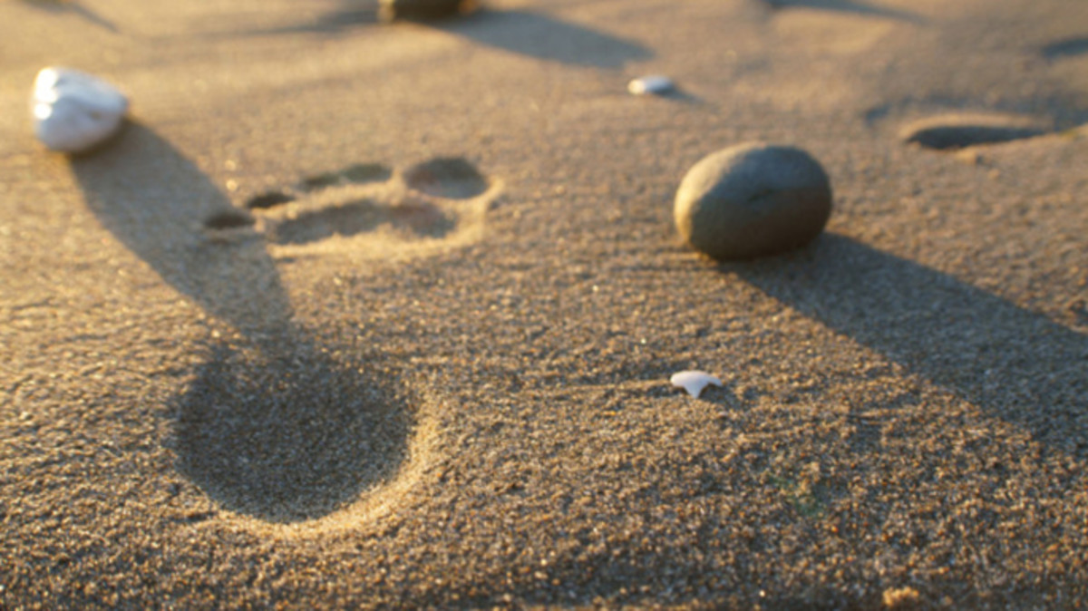 Footprints by Ariel Madrid