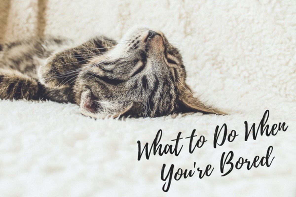 14 Things to Do When You're Bored