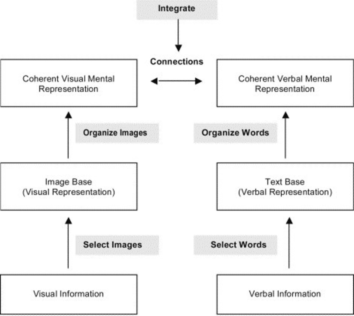 Influence of Visual Aids in Strengthening the Learning Process Owlcation