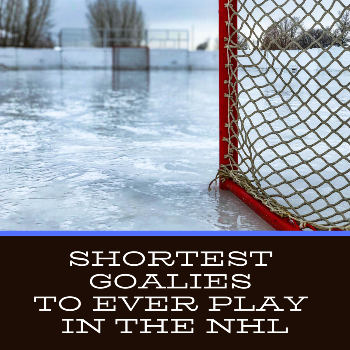 shortest nhl goalie