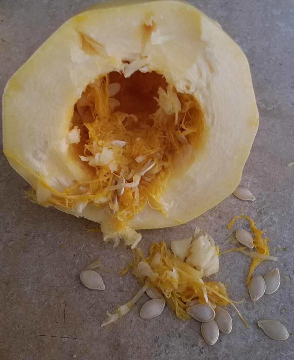 Spaghetti squash spitting out its pulp