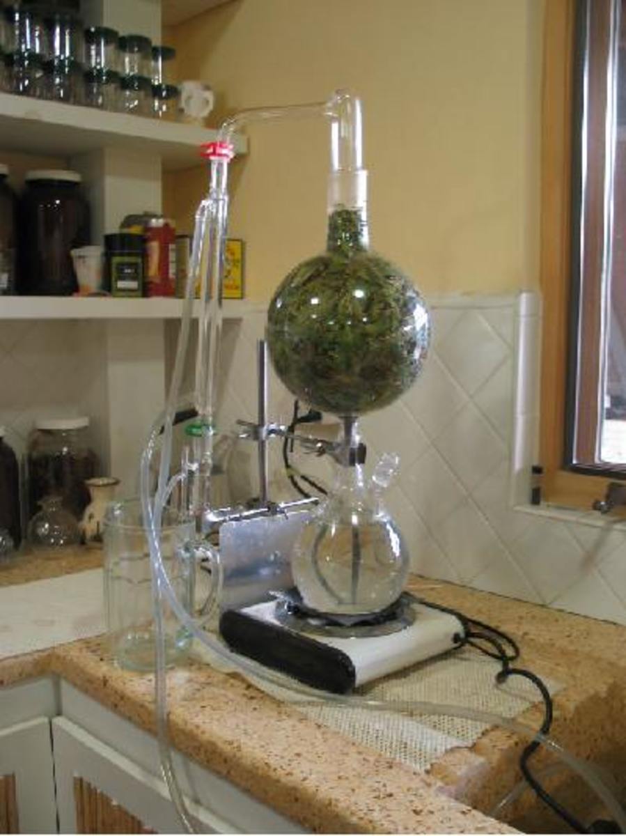 Steam distillation in plants фото 41