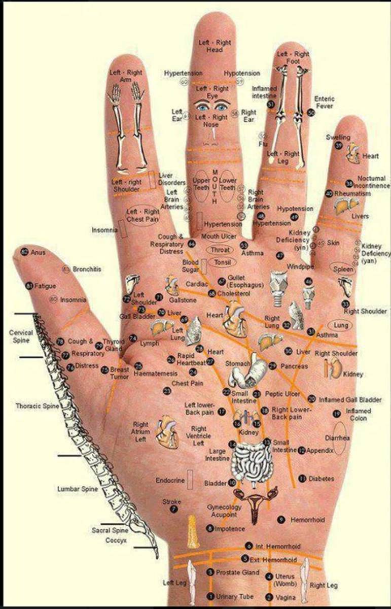 Vital reflexology points on the palm.
