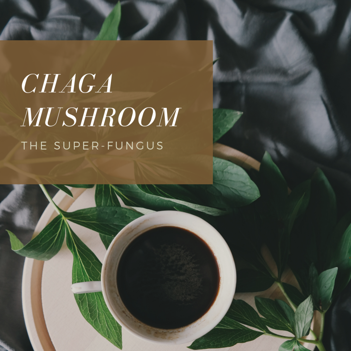 Chaga mushroom is a super-fungus and packed with tons of nutrients.