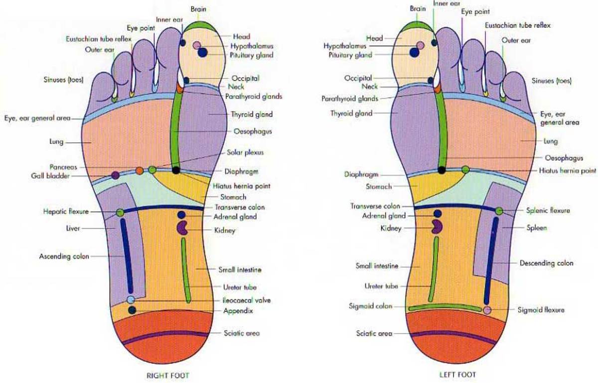 Pressure points in the feet
