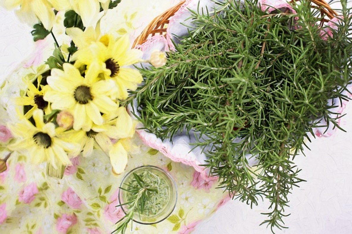 The Benefits of Parsley, Sage, Rosemary, and Thyme RemedyGrove