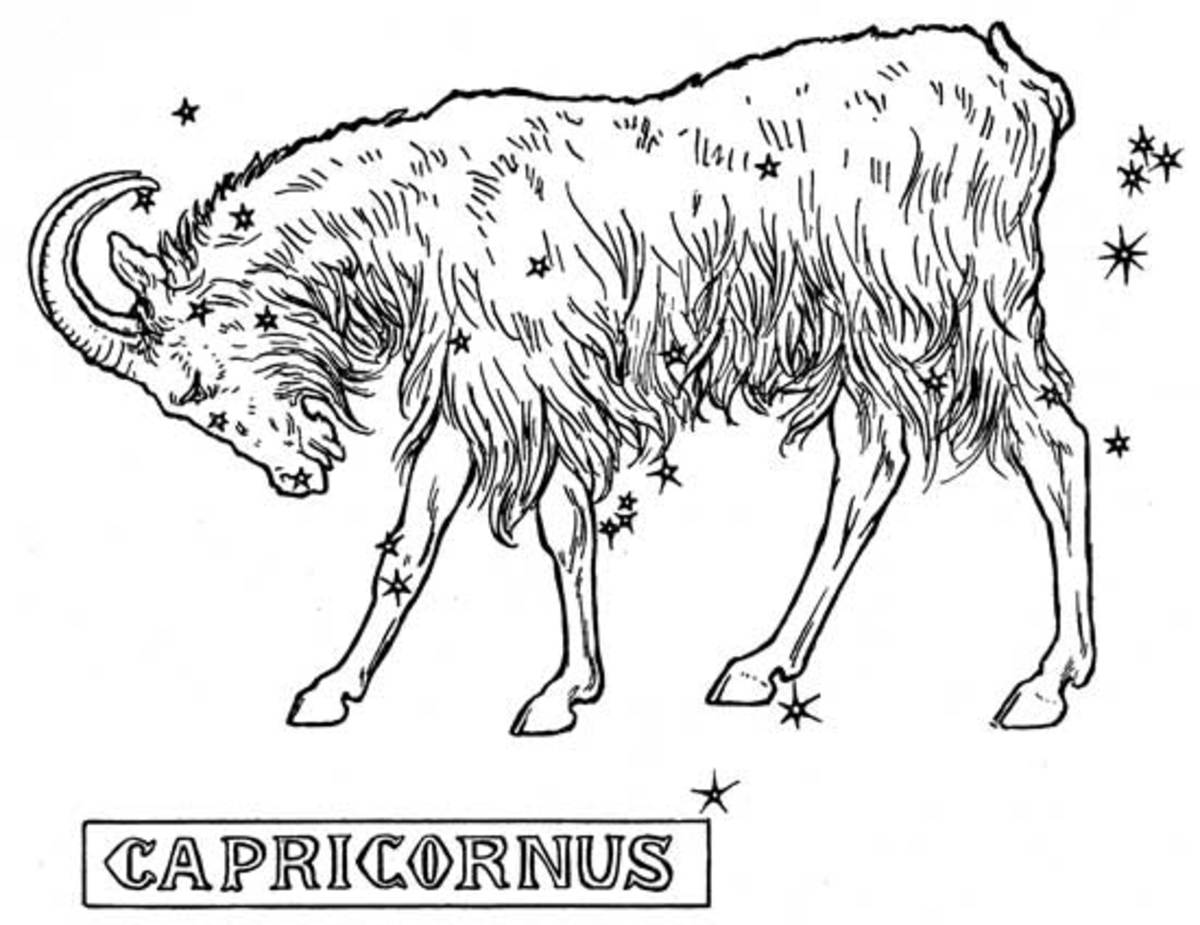 Capricorn is associated with the Tiger's Eye stone  