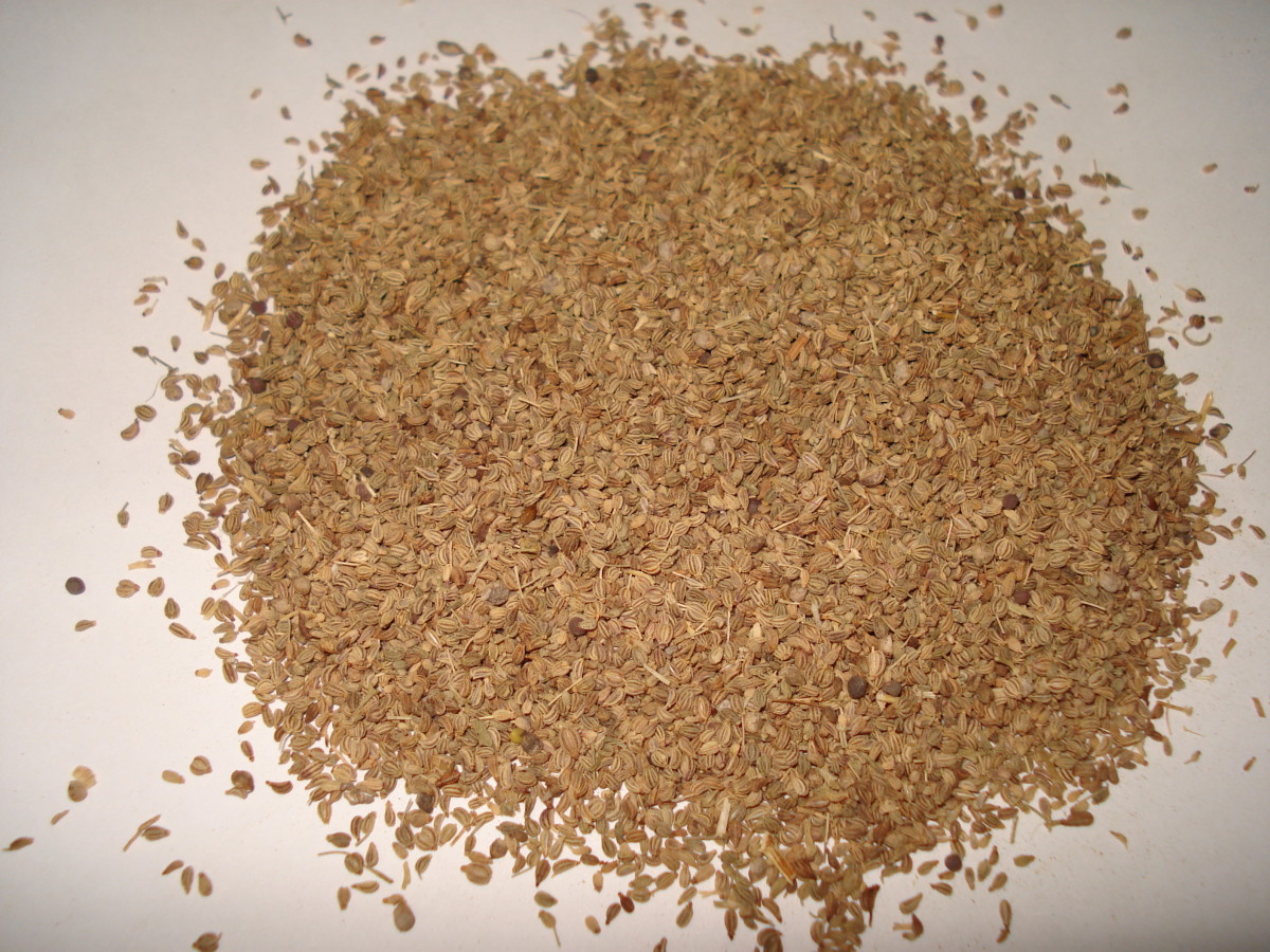 Ajwain can be used to warm your baby's chest. 