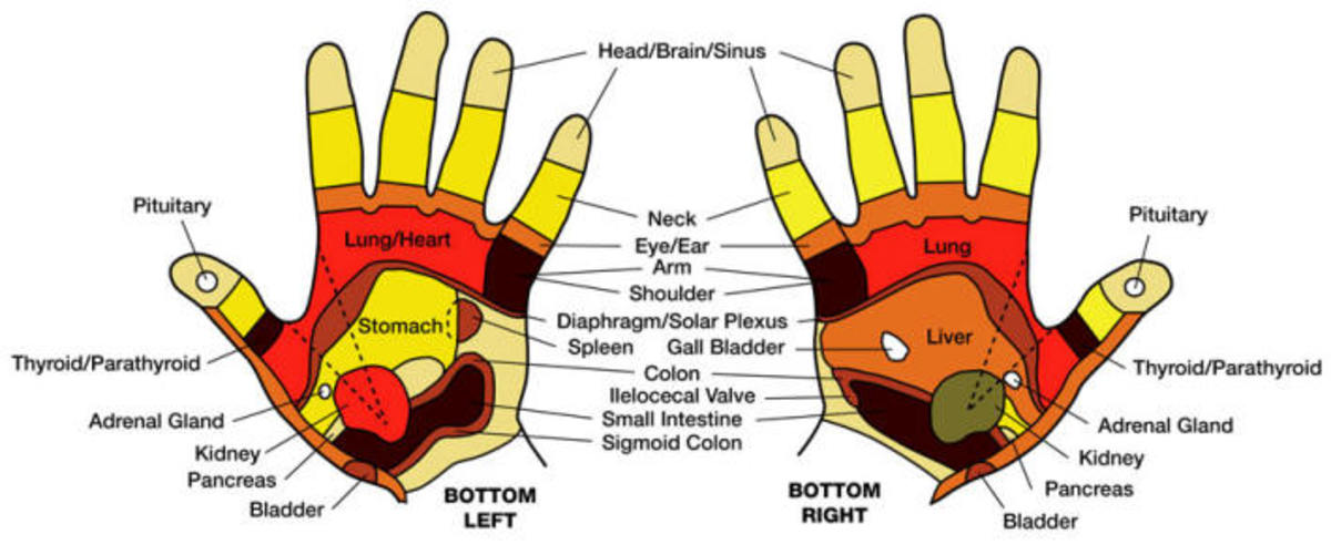 A Basic Guide To Hand Mudras RemedyGrove