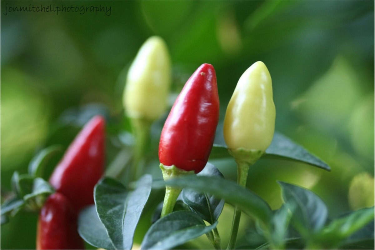 Spicy food can help you release endorphins and make you feel calmer. 