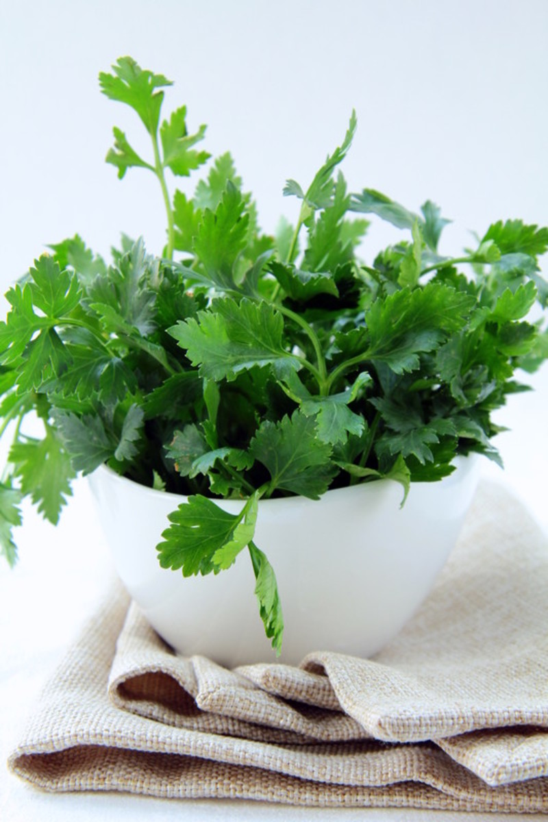 An Effective Natural Kidney Stone Treatment HubPages