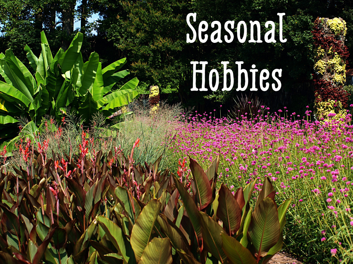 Here are some hobbies that are good for various seasons.