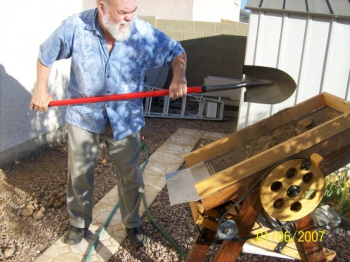Shoveling gold bearing? dirt into the hopper.