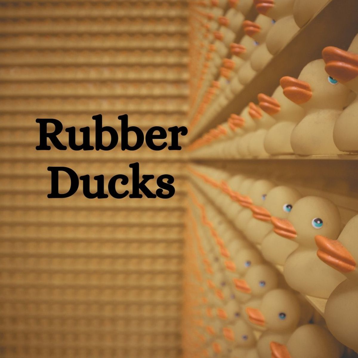 Want to collect something a bit more... unique? Why not start a rubber duck collection?