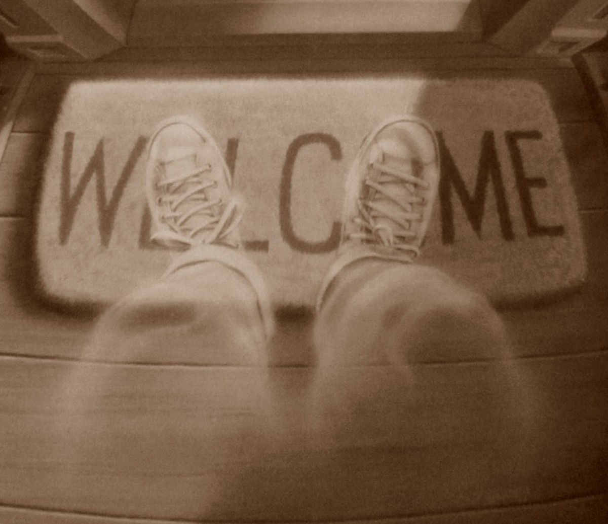 Top 10 Best "Goosebumps" Books by R.L. Stine HobbyLark