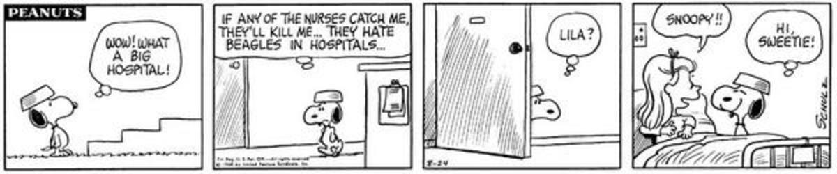 This is the only comic strip appearance of Snoopy's previous owner, Lila, August 24, 1968