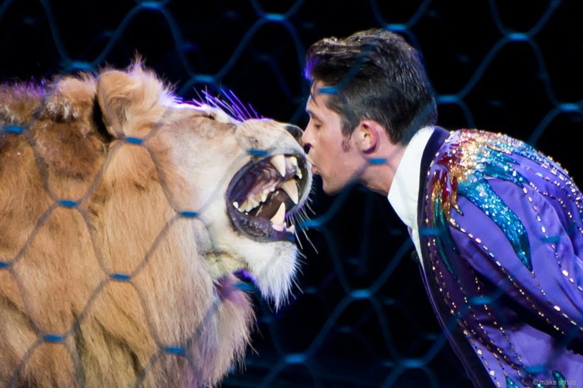 Hello, Masai! Alexander Lacey and his lion love. Ringling Bros. and Barnum & Bailey presents Dragons (2012-2014)