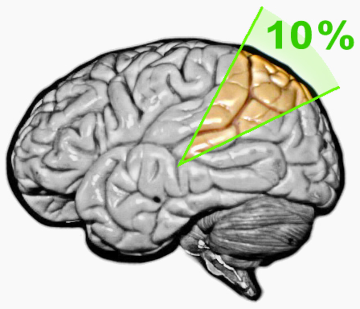 It's a myth that we use only 10% of our brains. 