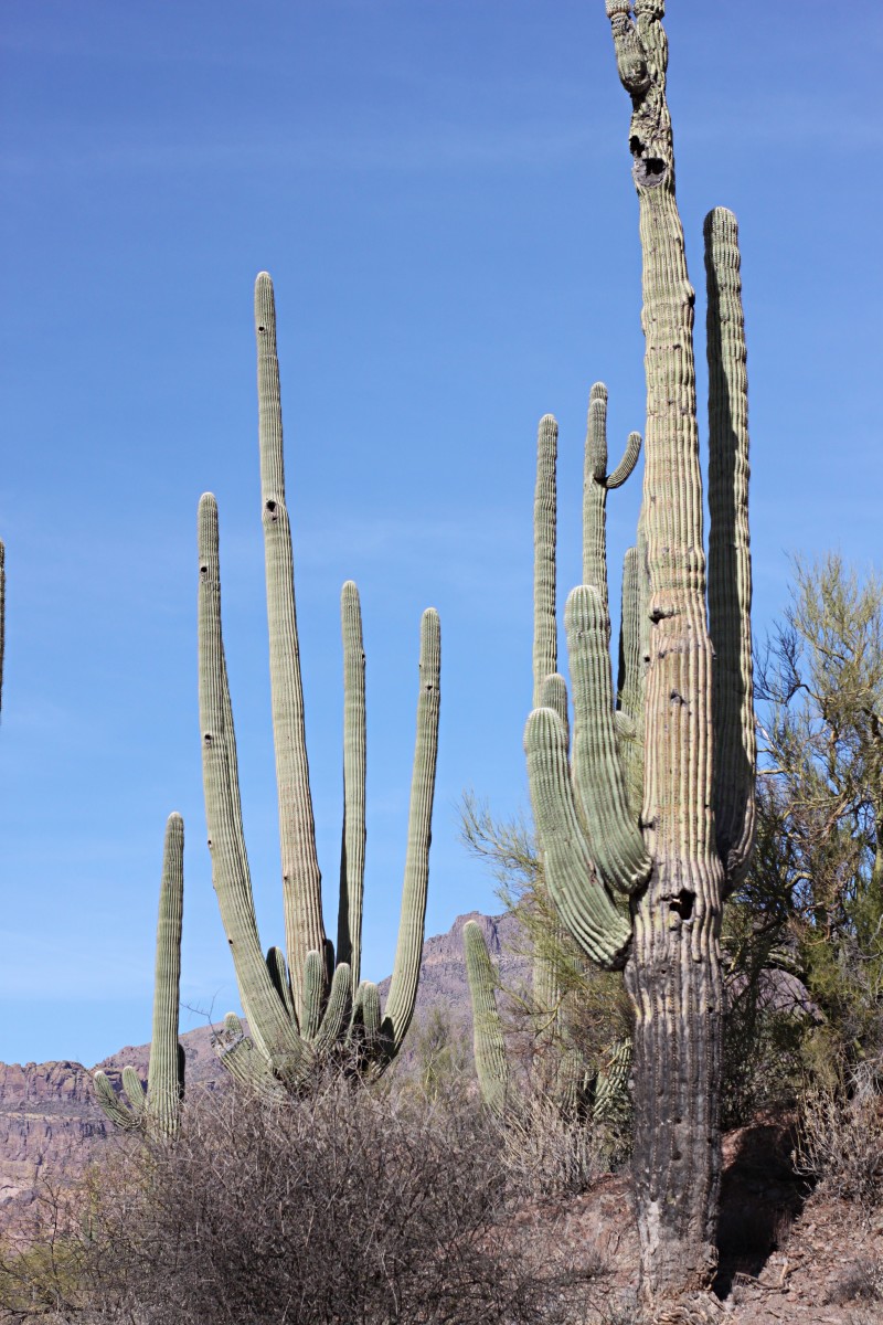 It's not really scary in the desert, but be prepared for any scenario and you can enjoy hiking Arizona without worry. 