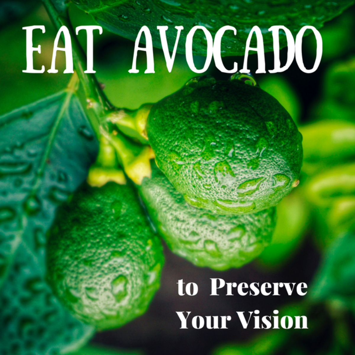 Eat Avocado to Preserve Your Vision
