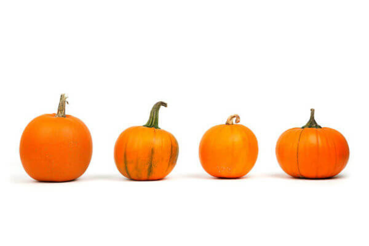 Reasons to Eat Pumpkin All Year Round
