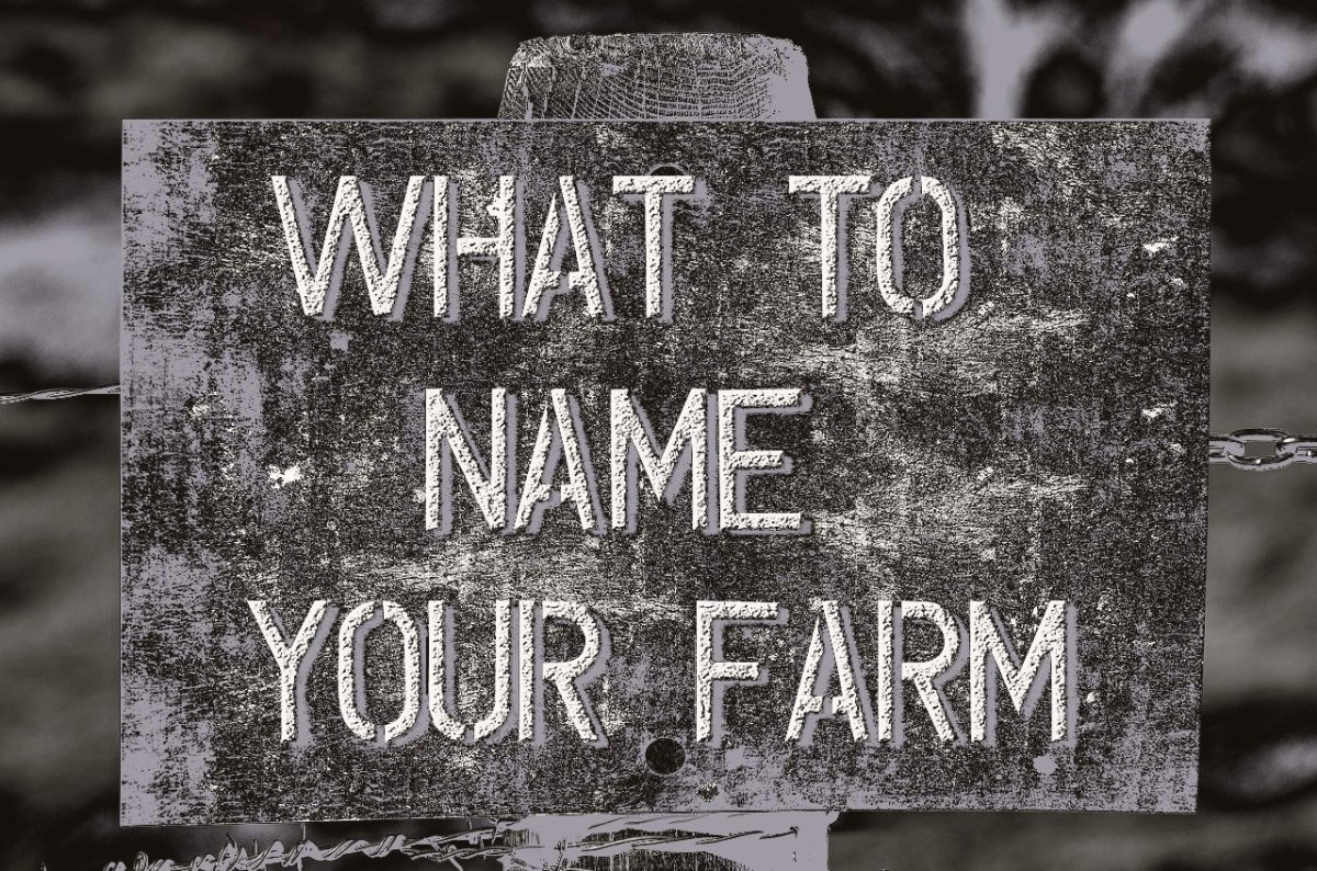 A Guide To Choosing The Best Farm Names ToughNickel
