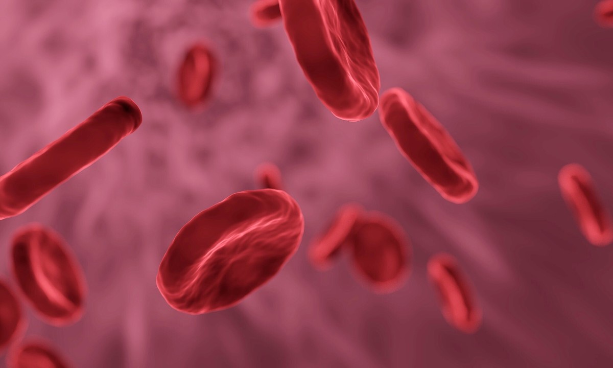 Antigens on red blood cells determine our blood type.