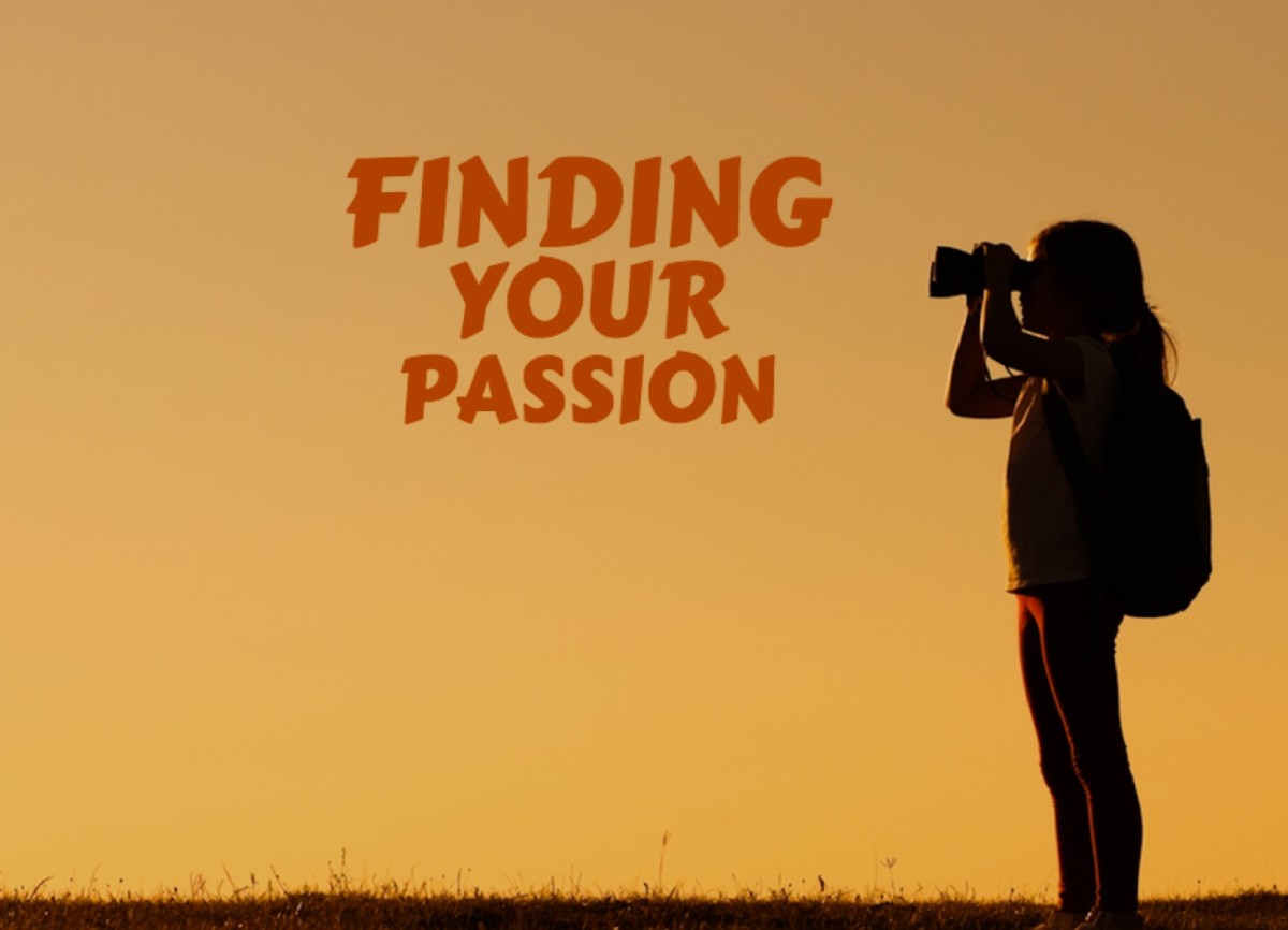 Finding Your Passion Now Letterpile 7914