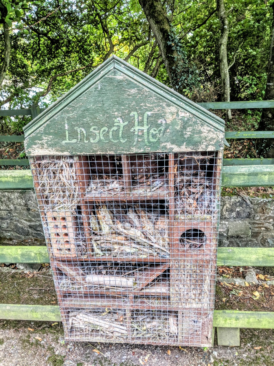 At this quirky spot, even the insects had their own Airbnb!