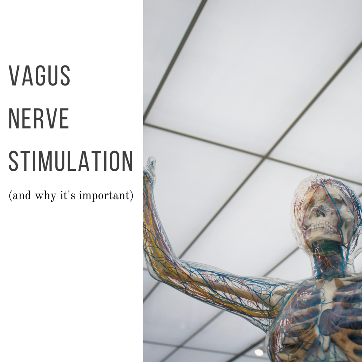 Vagus Nerve Stimulation: Why It's Vital for Your Health