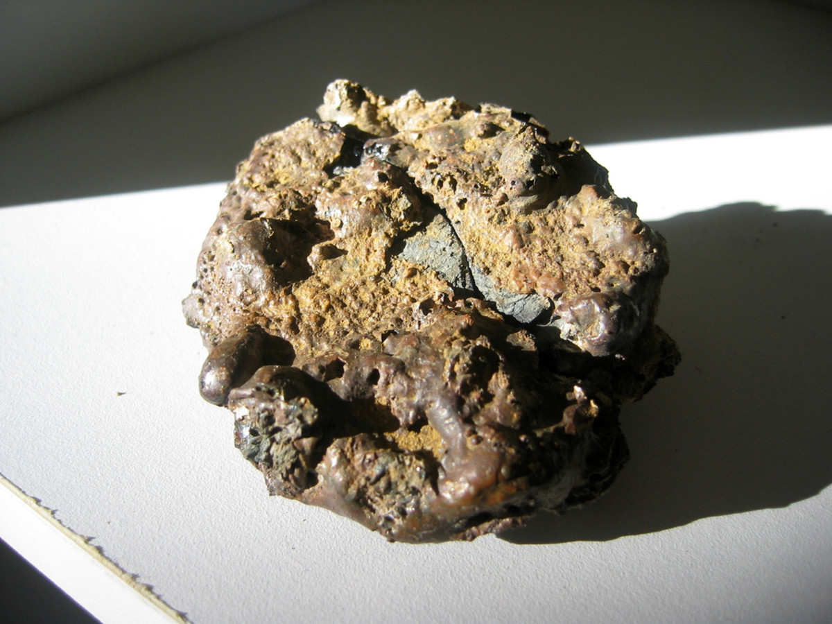 Coprolite aids us in times of transition.