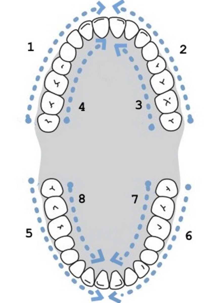 Trace the Waterpik tip along the gum line, perpendicular to the tooth surface, moving from the back teeth to the front