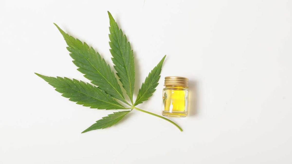 what-is-cbd-oil-and-why-is-it-the-next-big-thing