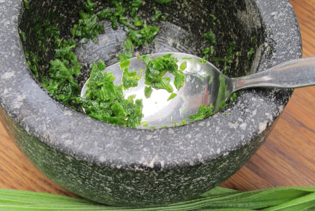 A plantain poultice can jumpstart healing and help alleviate pain and inflammation.
