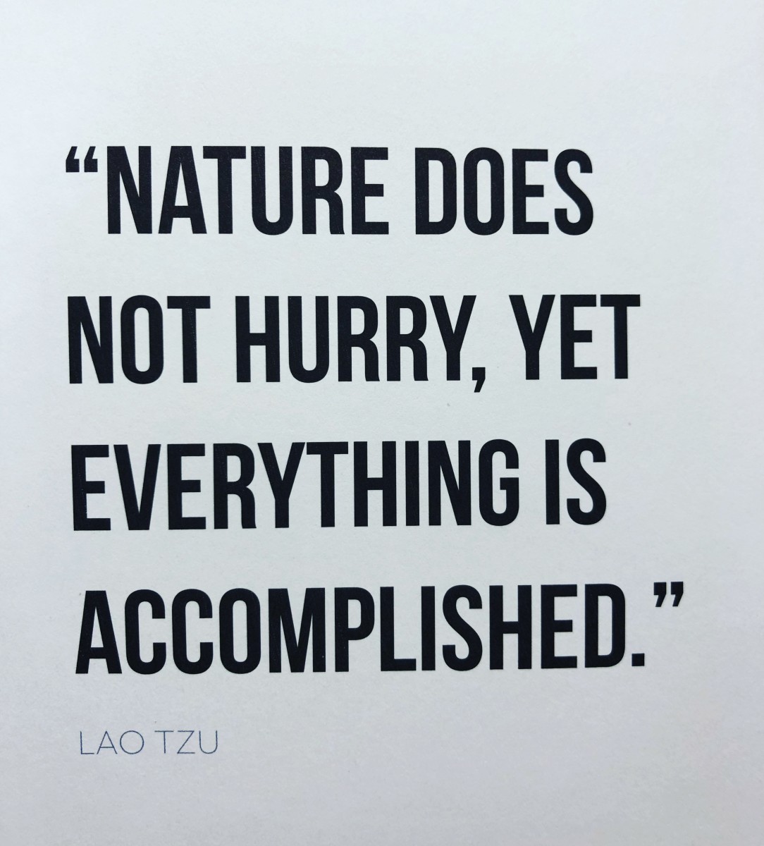 nature-does-not-hurry-yet-everything-is-accomplished