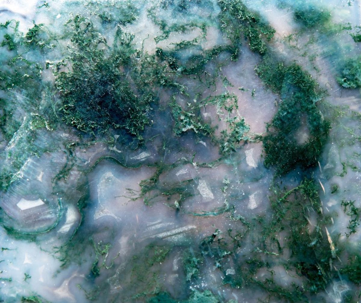 Moss agate has inclusions of manganese or iron that resemble moss.