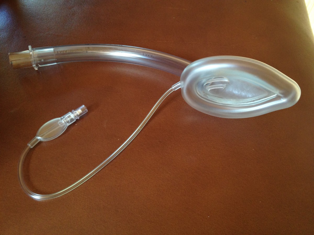 The soft rubber end is placed through the mouth, into the back of the throat. Air is added to the clear pilot balloon to inflate the mask for a secure fit. The hollow tube is connected to the oxygen supply and anesthesia machine.